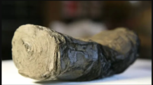 Desafio do Vesúvio: Pesquisadores da USP Decifram Papiros Milenares Carbonizados
