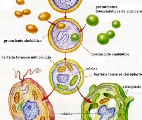 Origem da Vida: Fontes Termais e a Formação de Moléculas Orgânicas Primitivas