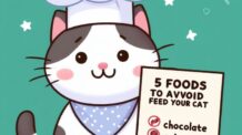 Os 5 Alimentos que seu Gato Jamais Deve Comer