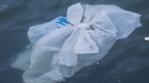 Proibir o uso de sacolas de plástico elimina 6 bilhões de sacolas por ano