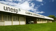 Unesp 2024: veja como consultar lista de aprovados