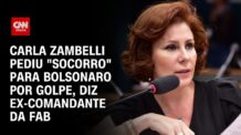 Zambelli Solicitou Apoio do Ex-Comandante da FAB para Bolsonaro
