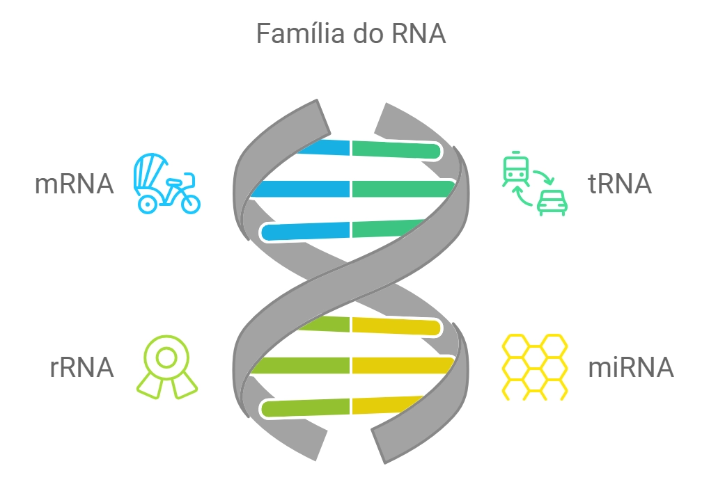 família do rna