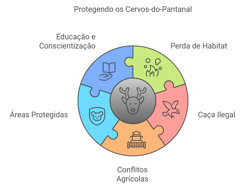 Gráfico - Protejendo os Cervos-do-Pantanal