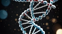 Entenda a Diferença entre DNA e RNA