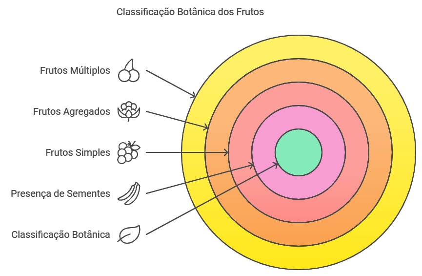 classificação dos frutos