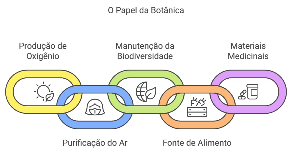 papel da botânica