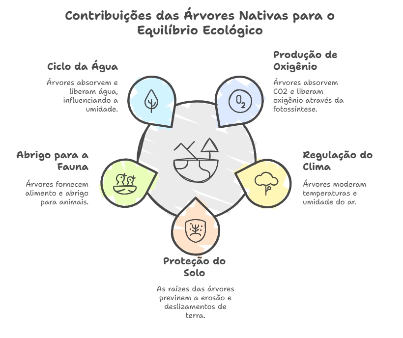 diagrama contribuição das árvores nativas para o equilíbrio ecológico