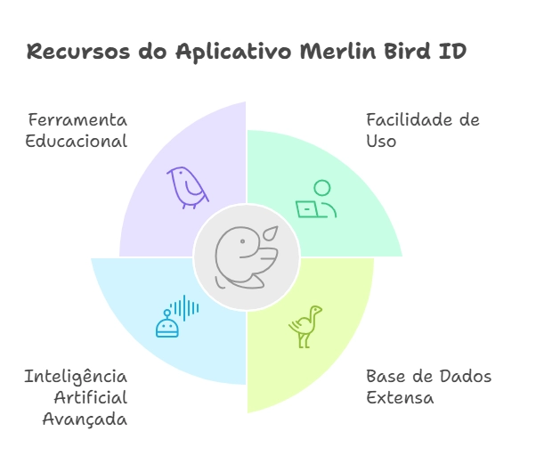 diagrama recursos do aplicativo merlin bird id